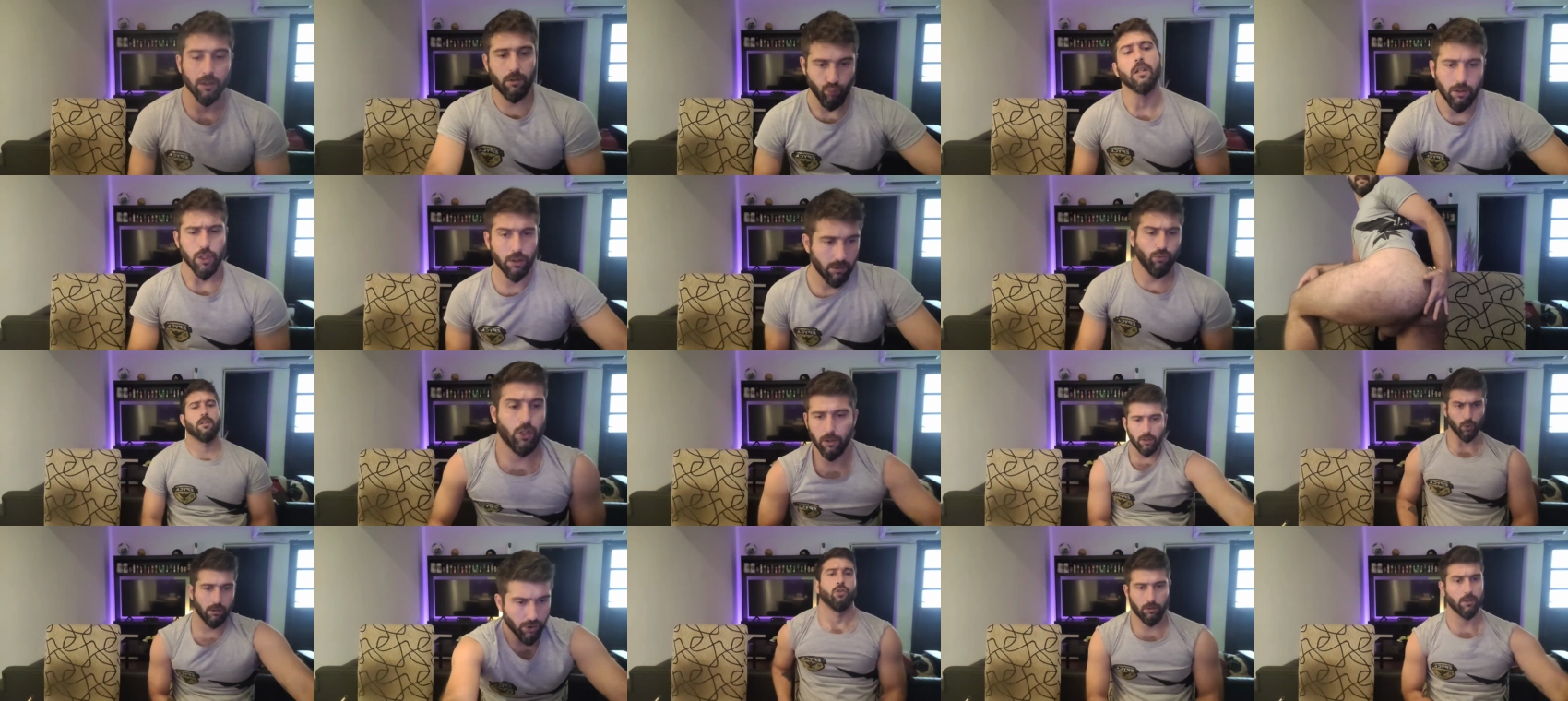 damifox  27-06-2022